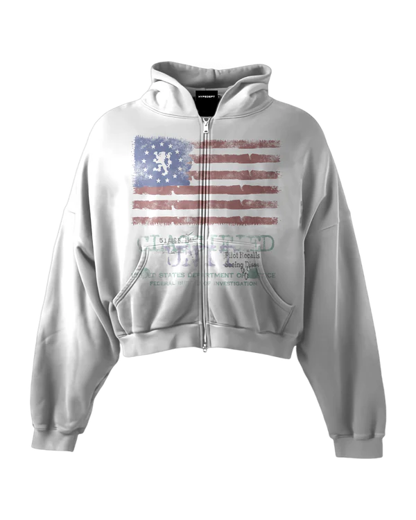 classified 'CLASSIFIED' HEAVYWEIGHT BOXY ZIPUP HOODIE
