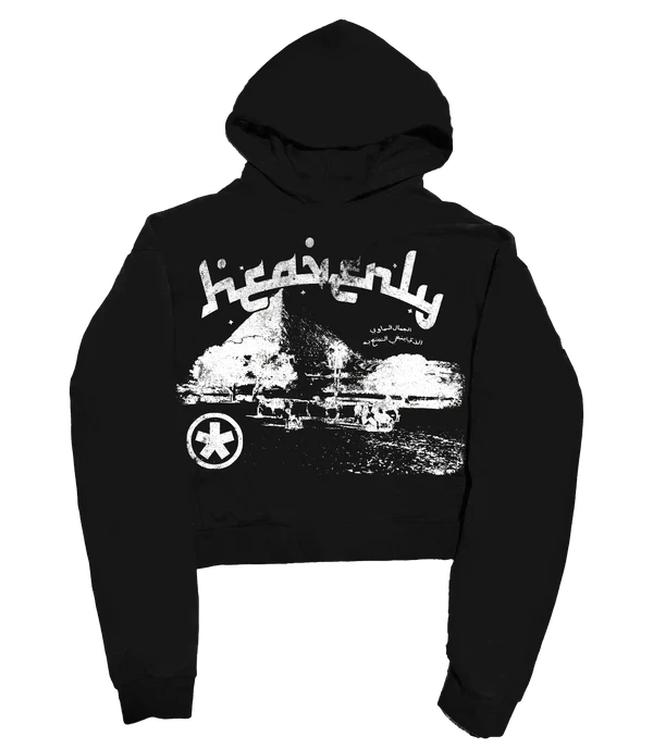 heavnlyii 'HEAVENLY II' 500G HEAVYWEIGHT HOODIE